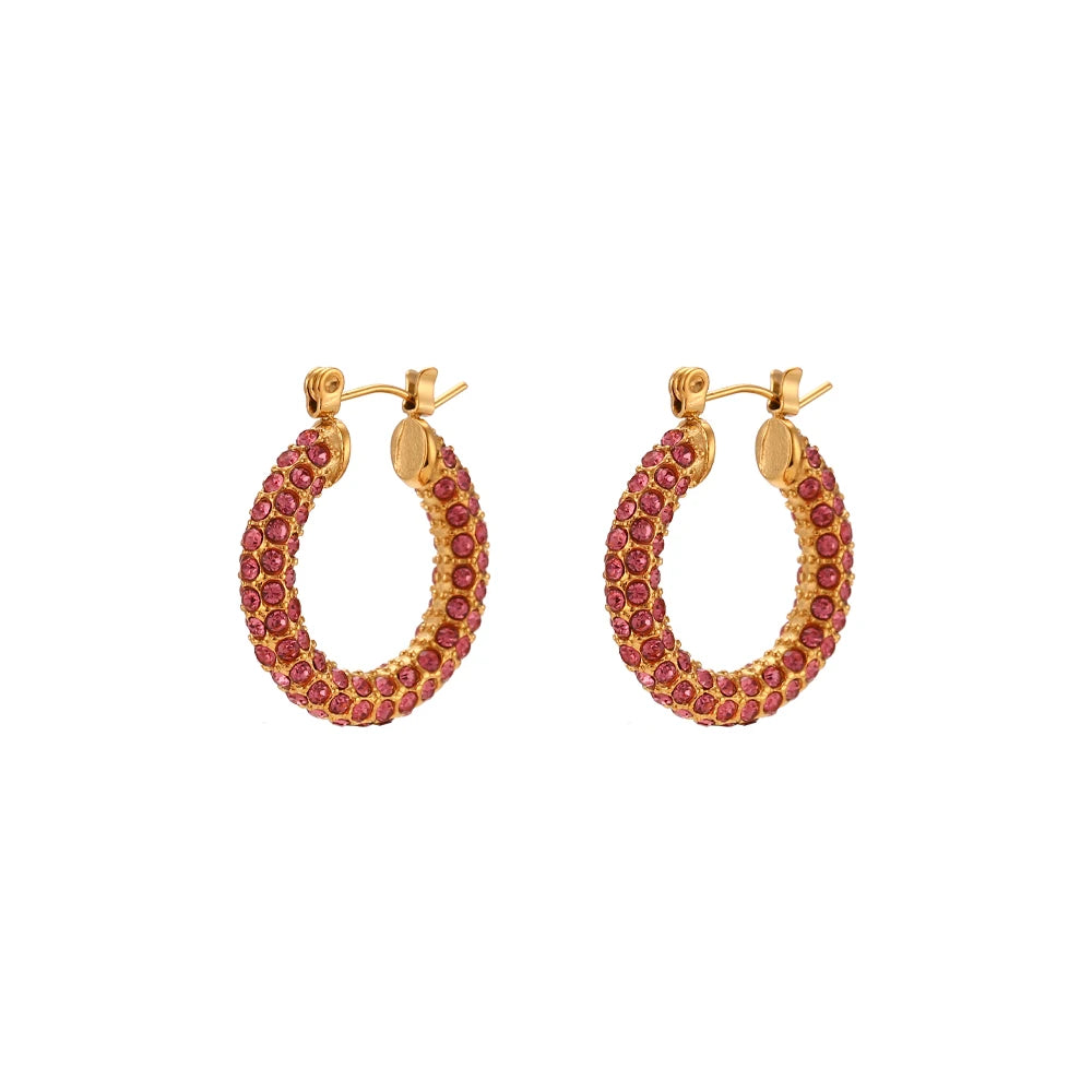 E.B.belle New Delicate Quality Luxury 3A Zircon Hoop Earrings Stainless Steel Jewelry 18K Gold Plated Clear Crystal Earrings