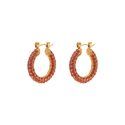 E.B.belle New Delicate Quality Luxury 3A Zircon Hoop Earrings Stainless Steel Jewelry 18K Gold Plated Clear Crystal Earrings
