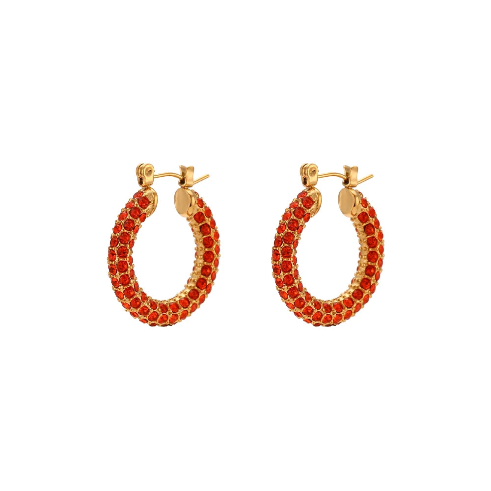 E.B.belle New Delicate Quality Luxury 3A Zircon Hoop Earrings Stainless Steel Jewelry 18K Gold Plated Clear Crystal Earrings